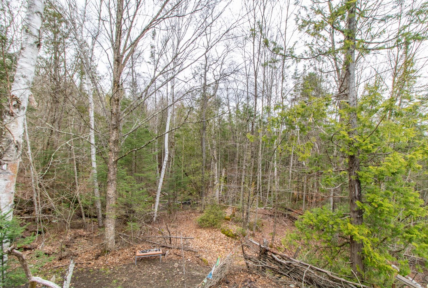 350 Sargent's Road Sutton, VT 05871 - Photo 29 of 39 Gallery Image 29