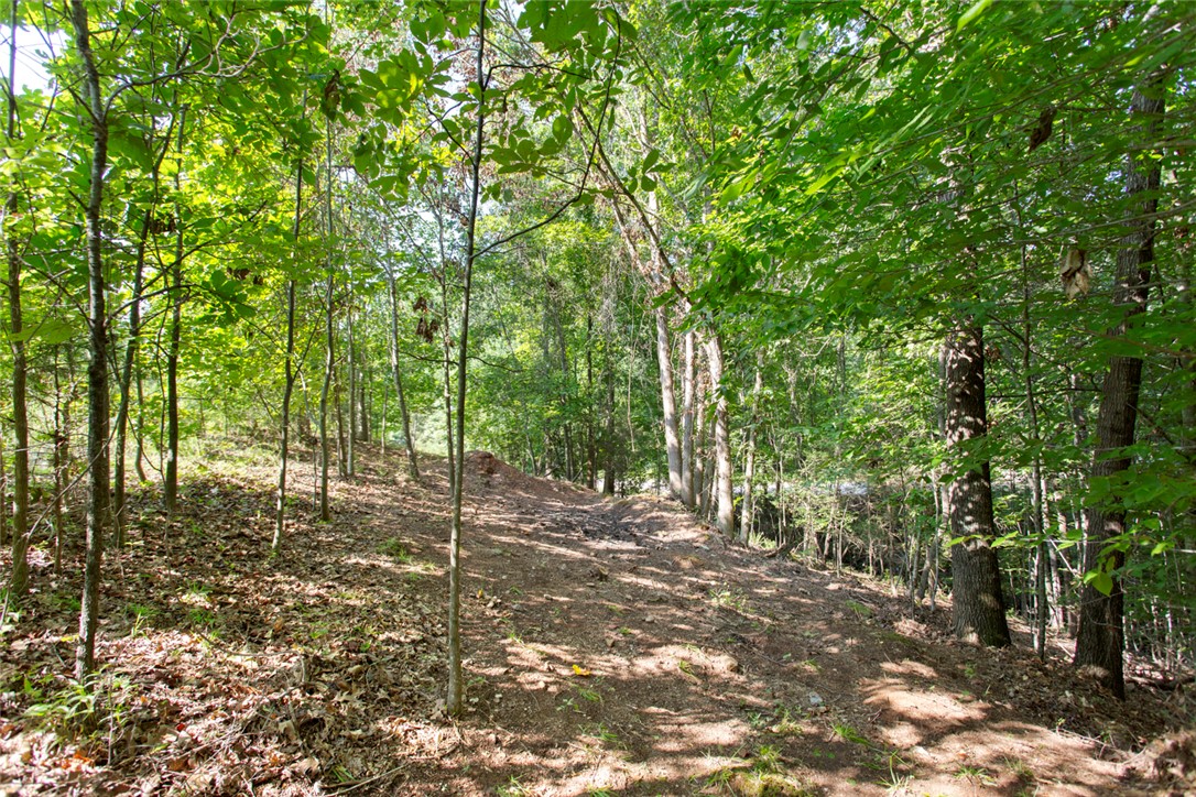 Lot 17 Sunset Ridge/ Paramount Drive Seneca, SC 29678 - Photo 8 of 19 Gallery Image 8