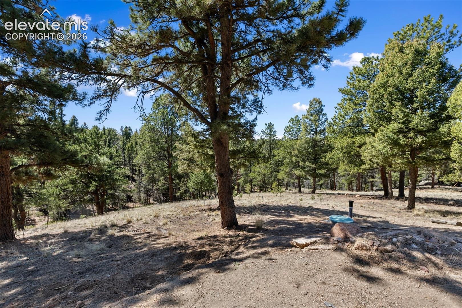 18 Mt Powderhorn Road Florissant, CO 80816 - Photo 5 of 38 Gallery Image 5