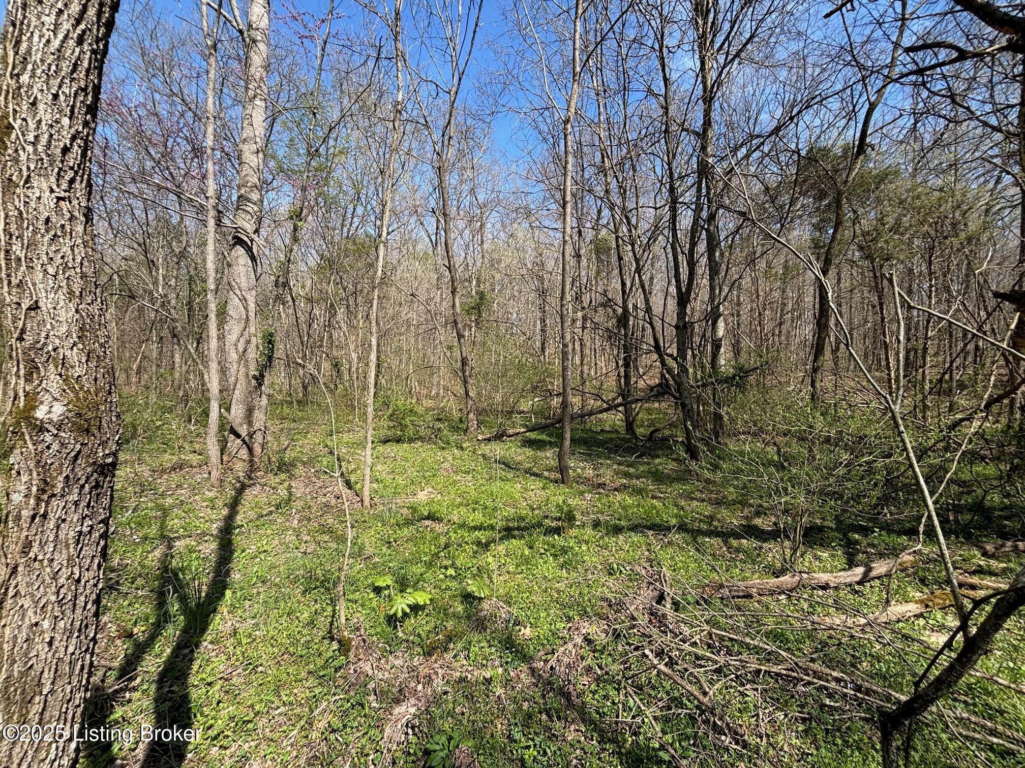 523 Roach Road Webster, KY 40176 - Photo 10 of 22 IMG_2601