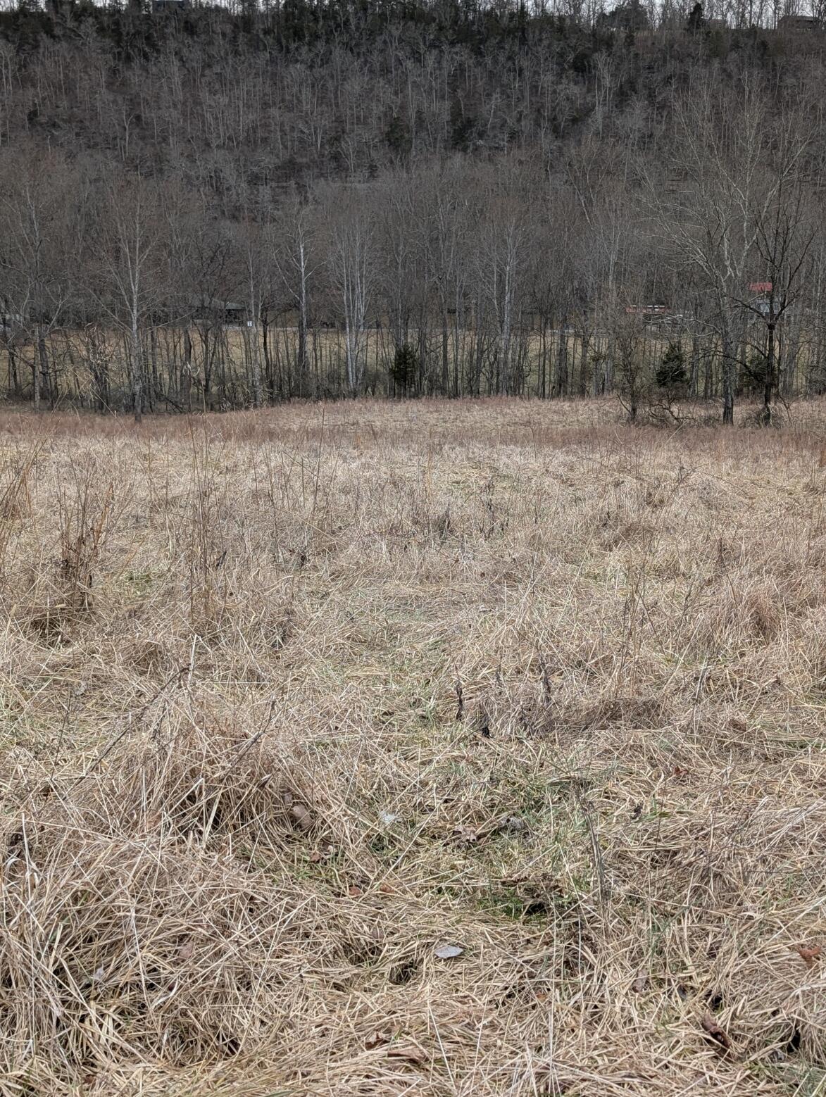 2654 Short Road Salvisa, KY 40372 - Photo 7 of 12 Lot #5