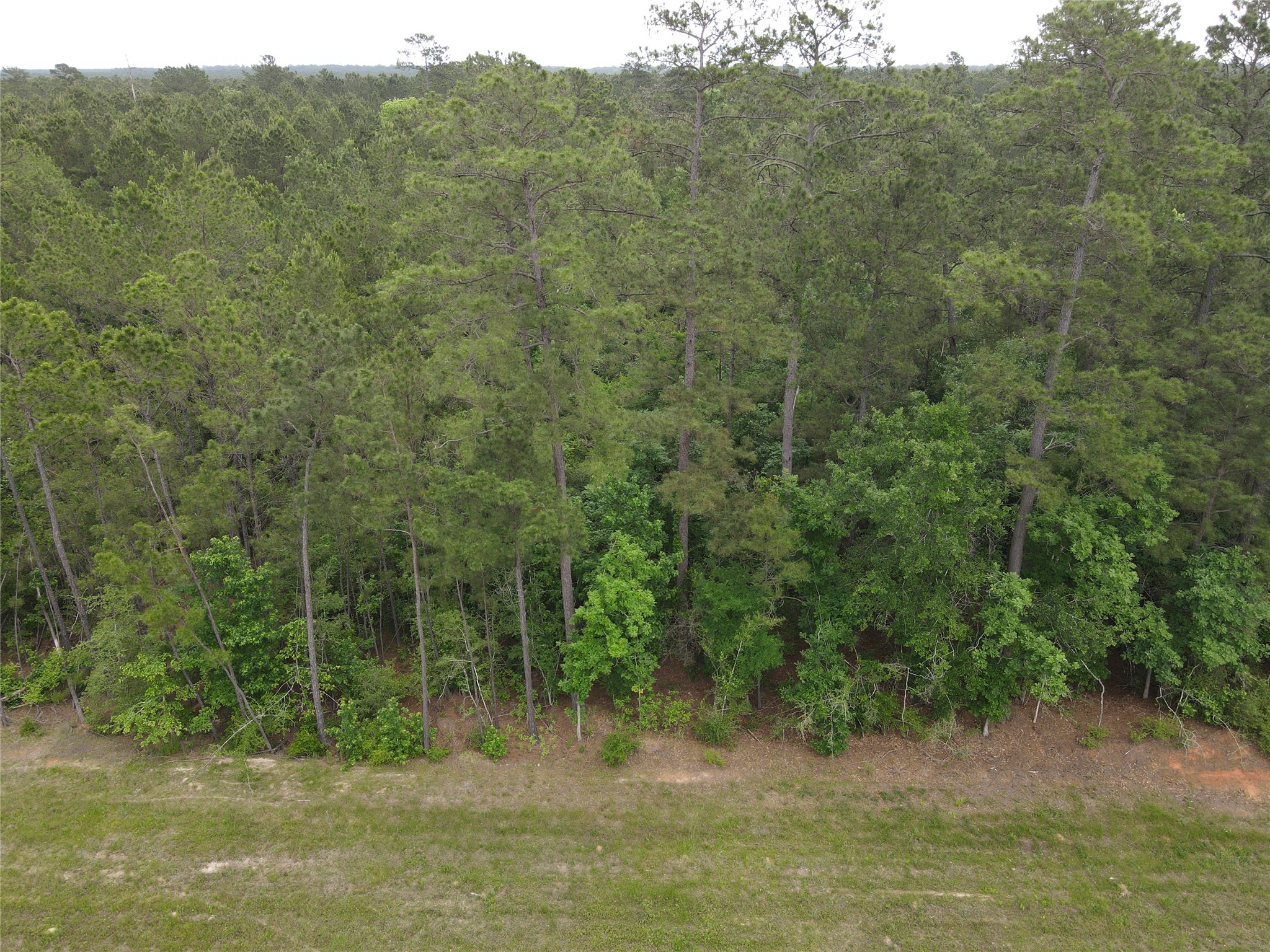15386 Red Hawk Road Willis, TX 77378 - Photo 15 of 17