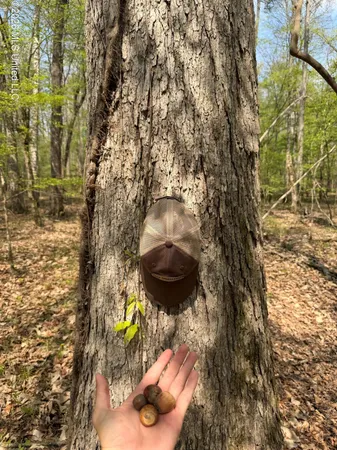 $91,500 | 1309 County Road 311, Enterprise, MS 39330