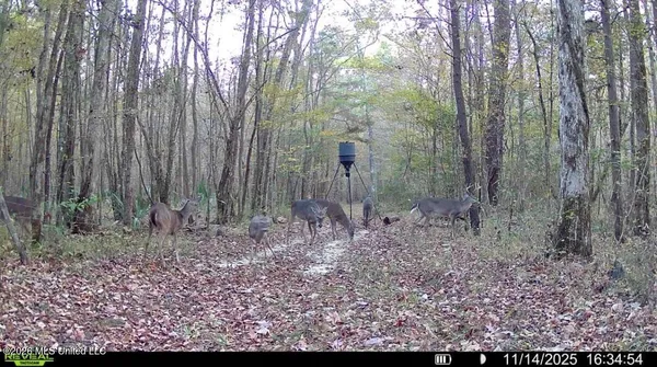 $91,500 | 1309 County Road 311, Enterprise, MS 39330