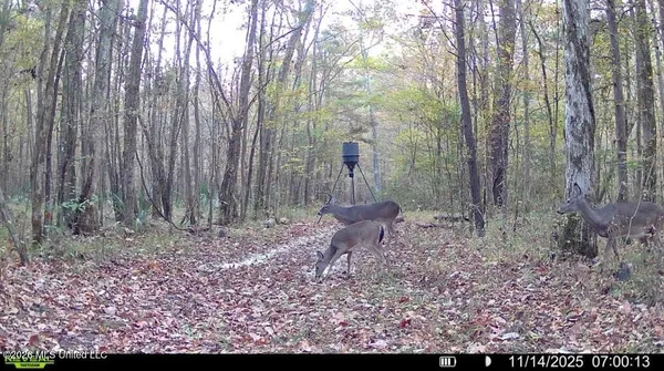 $91,500 | 1309 County Road 311, Enterprise, MS 39330