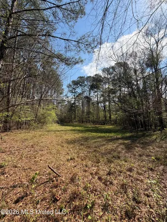 $91,500 | 1309 County Road 311, Enterprise, MS 39330