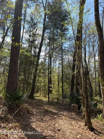 $91,500 | 1309 County Road 311, Enterprise, MS 39330