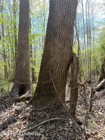 $91,500 | 1309 County Road 311, Enterprise, MS 39330