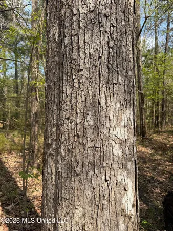 $91,500 | 1309 County Road 311, Enterprise, MS 39330