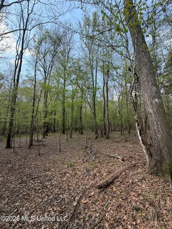 $91,500 | 1309 County Road 311, Enterprise, MS 39330