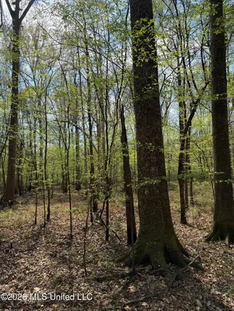 $91,500 | 1309 County Road 311, Enterprise, MS 39330