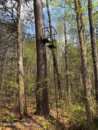 $91,500 | 1309 County Road 311, Enterprise, MS 39330