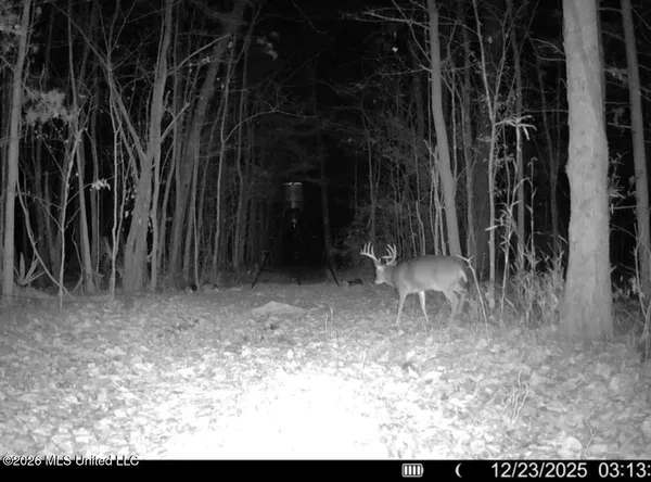 $91,500 | 1309 County Road 311, Enterprise, MS 39330