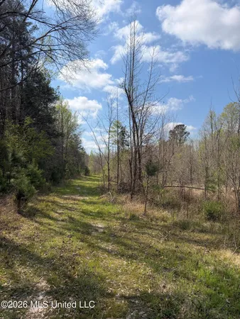 $91,500 | 1309 County Road 311, Enterprise, MS 39330