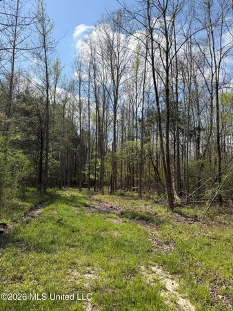 $91,500 | 1309 County Road 311, Enterprise, MS 39330