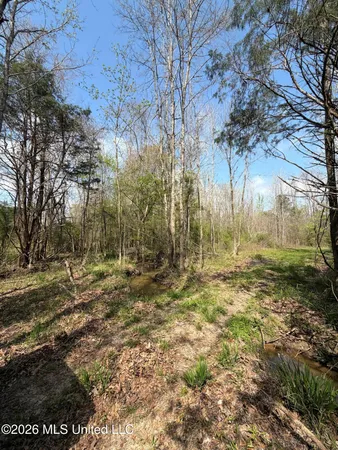 $91,500 | 1309 County Road 311, Enterprise, MS 39330