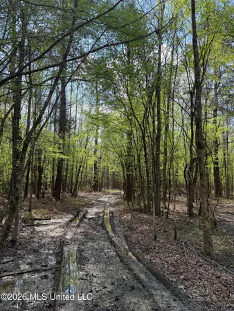 $91,500 | 1309 County Road 311, Enterprise, MS 39330