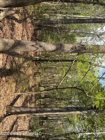 $91,500 | 1309 County Road 311, Enterprise, MS 39330