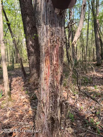 $91,500 | 1309 County Road 311, Enterprise, MS 39330