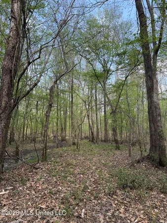 $91,500 | 1309 County Road 311, Enterprise, MS 39330