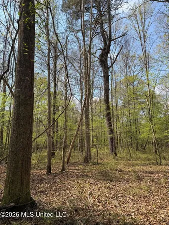 $91,500 | 1309 County Road 311, Enterprise, MS 39330