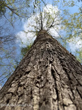 $91,500 | 1309 County Road 311, Enterprise, MS 39330