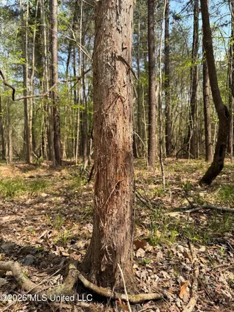 $91,500 | 1309 County Road 311, Enterprise, MS 39330