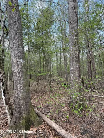 $91,500 | 1309 County Road 311, Enterprise, MS 39330