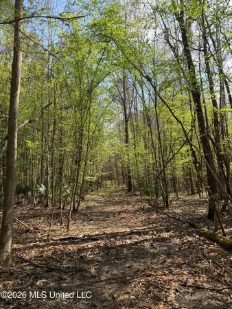 $91,500 | 1309 County Road 311, Enterprise, MS 39330