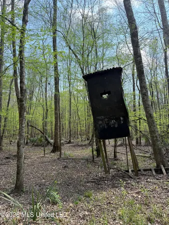 $91,500 | 1309 County Road 311, Enterprise, MS 39330