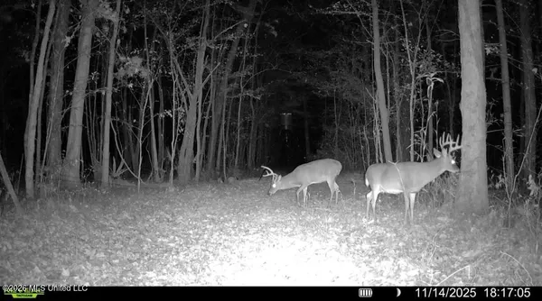 $91,500 | 1309 County Road 311, Enterprise, MS 39330