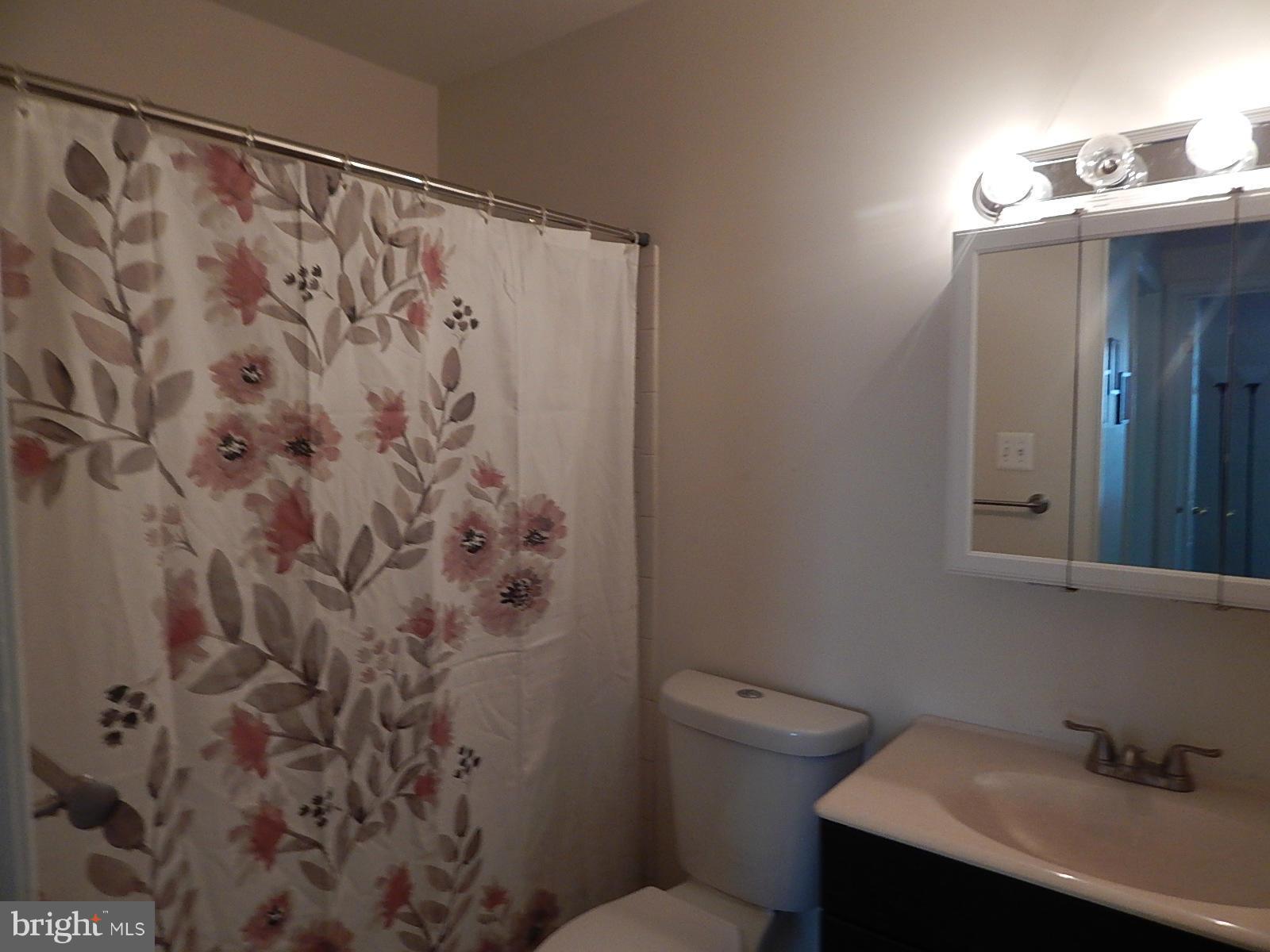 5909 Grand Banks Road Columbia, MD 21044 - Photo 15 of 16 Bath
