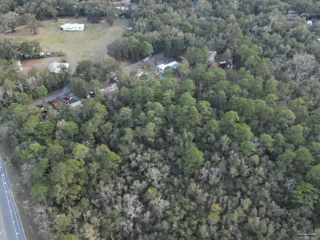 a view of a forest with a houses