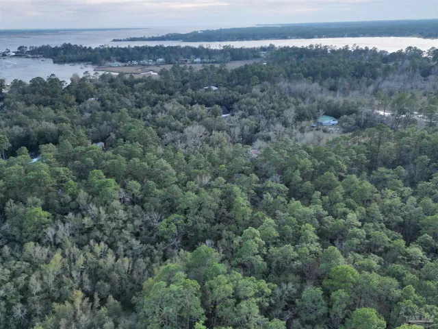 an aerial view of town with residential houses and trees