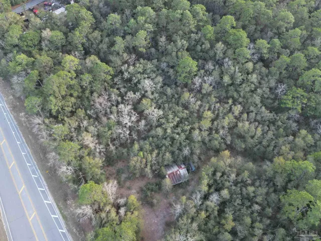 a view of a dry yard with lots of bushes