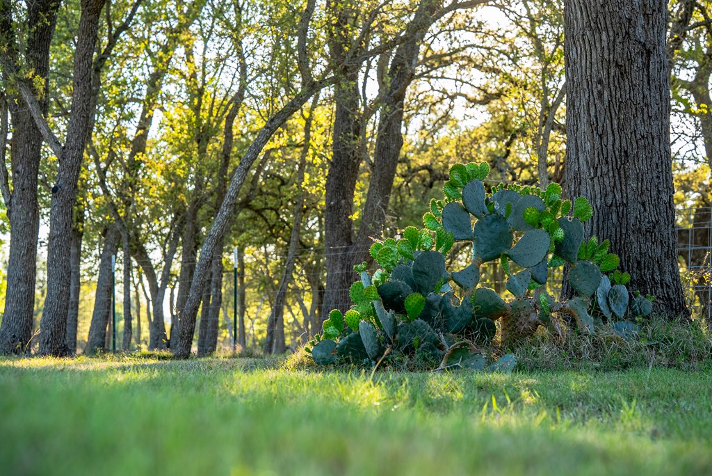 2873 Ranch Road Fredericksburg, TX 78624 - Photo 40 of 58