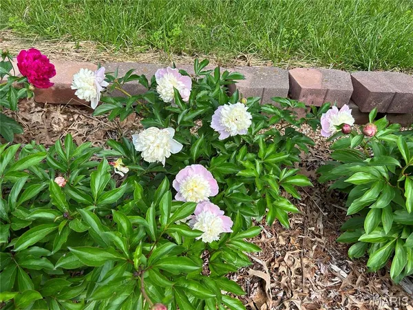 $299,900 | 237 Rolling Hills Drive, Cape Girardeau, MO 63701