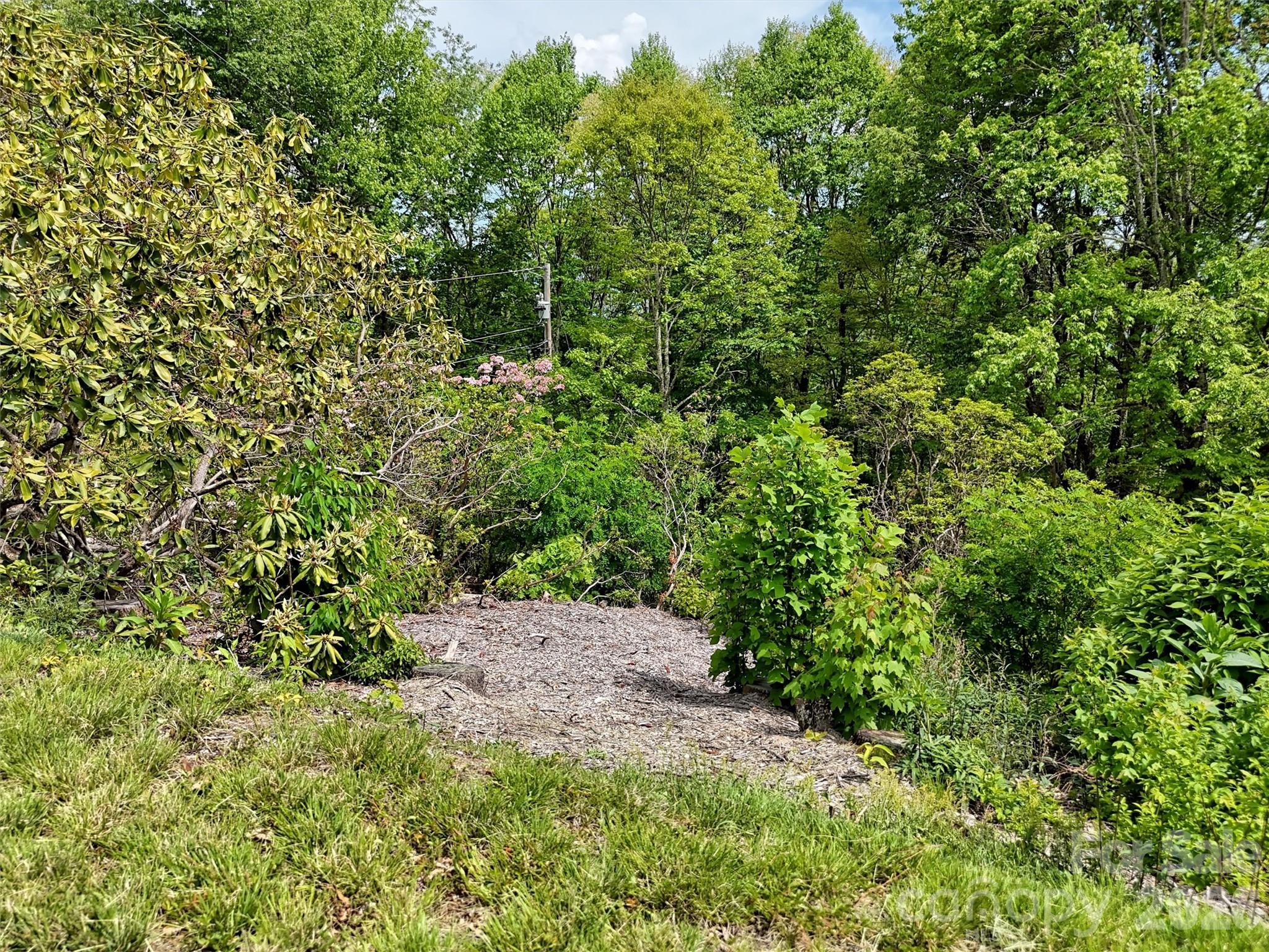 0 Leatherwood Road Maggie Valley, NC 28751 - Photo 12 of 15