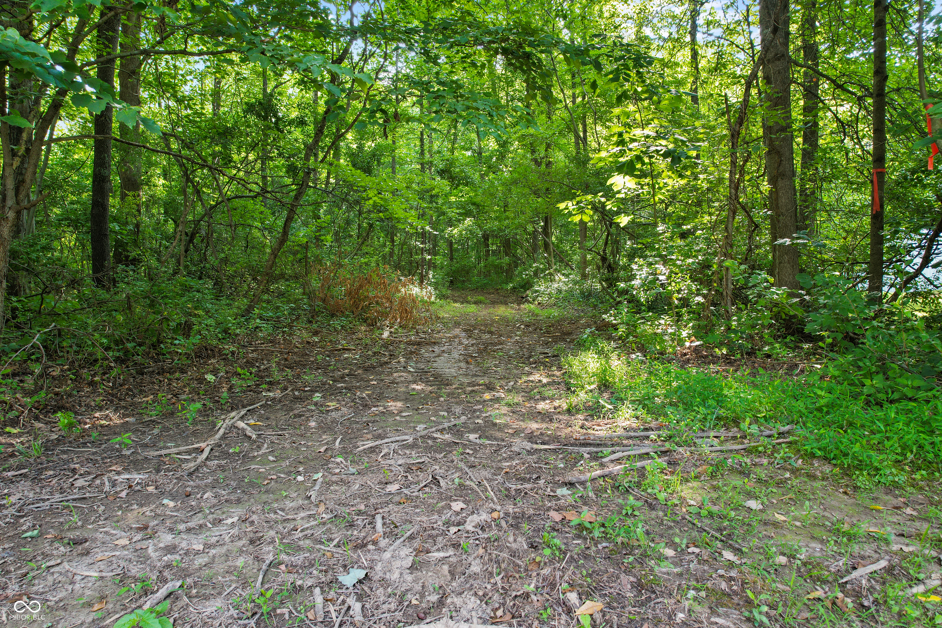 5542 East Washboard Road Bloomfield, IN 47424 - Photo 37 of 41