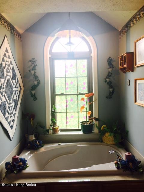 2942 Peonia Road Clarkson, KY 42726 - Photo 14 of 21 14 master tub