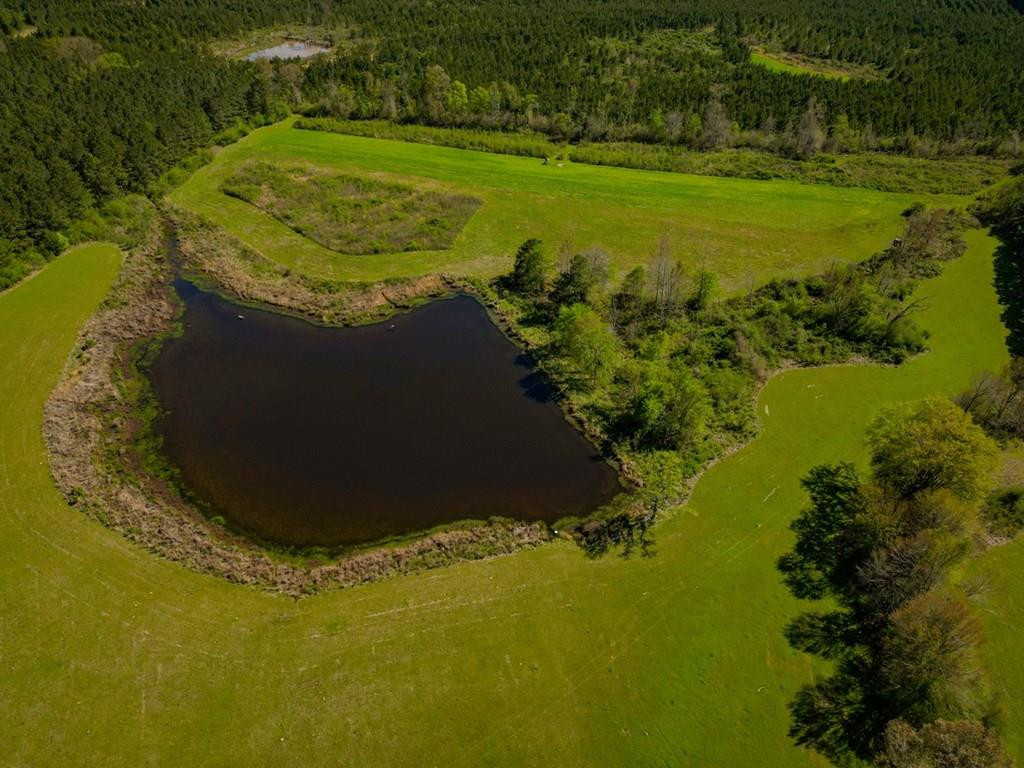 6596 McBride Road Pattison, MS 39144 - Photo 1 of 30 Main View