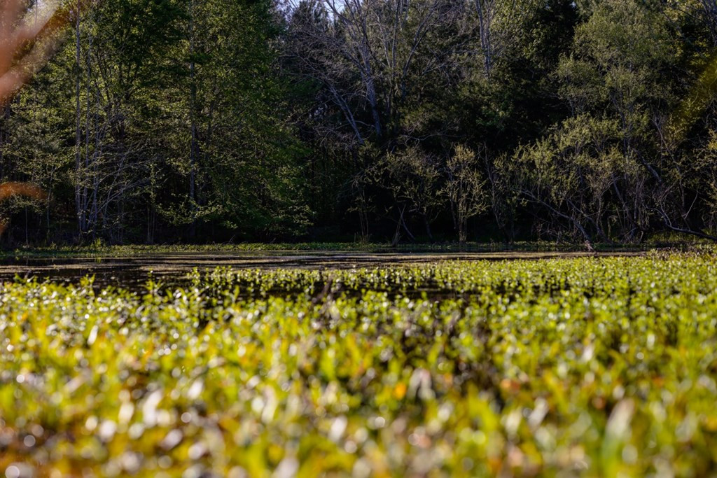 6596 McBride Road Pattison, MS 39144 - Photo 13 of 30 Photo 13