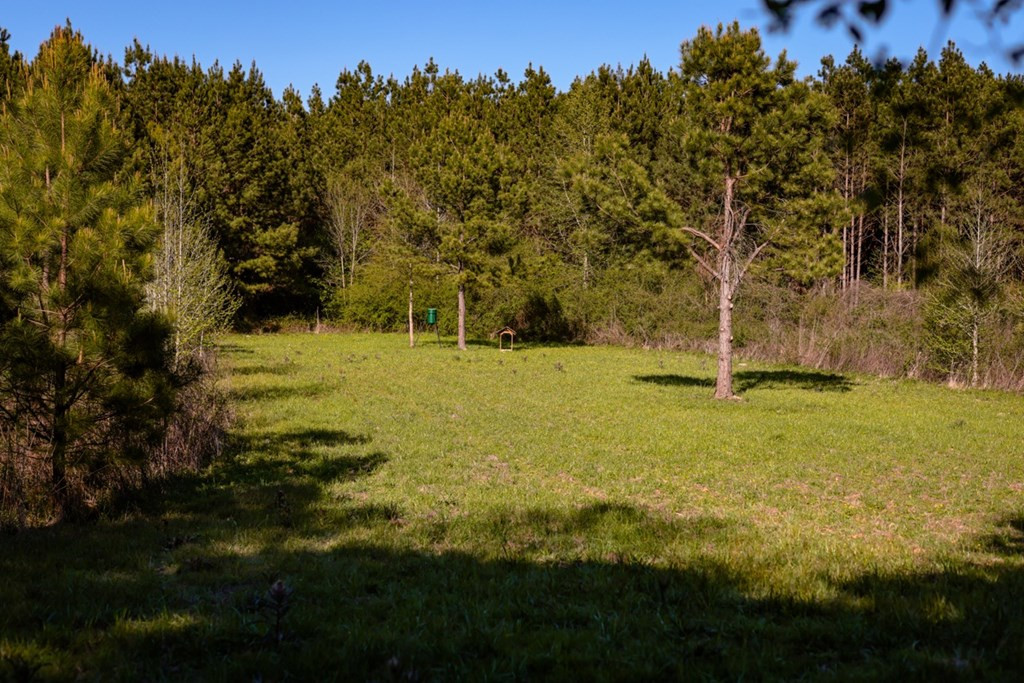 6596 McBride Road Pattison, MS 39144 - Photo 14 of 30 Photo 14