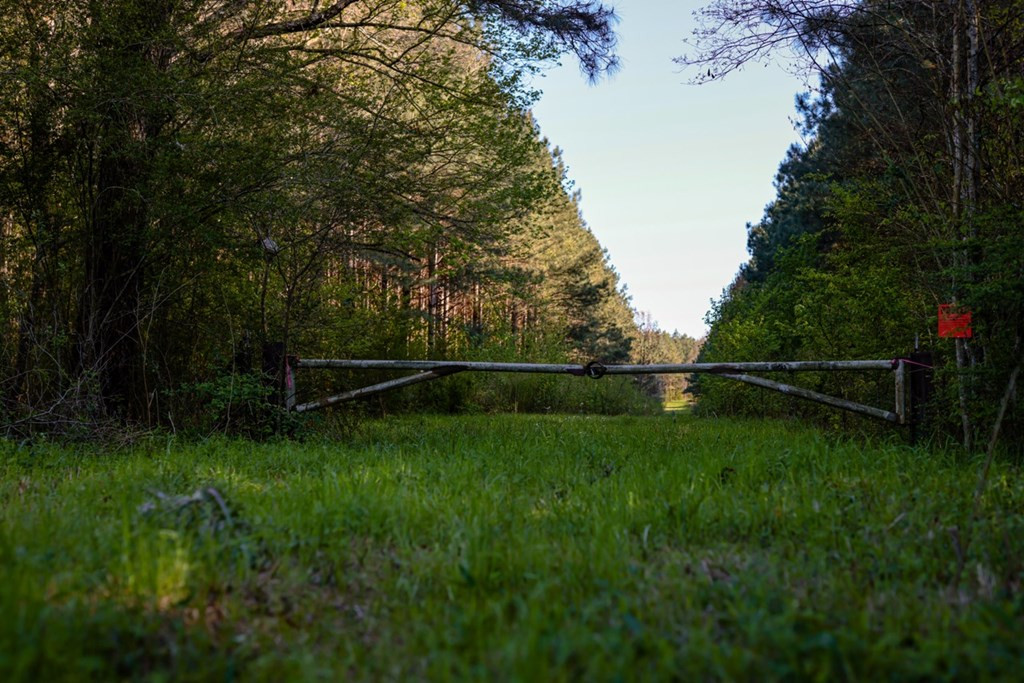 6596 McBride Road Pattison, MS 39144 - Photo 17 of 30 Photo 17
