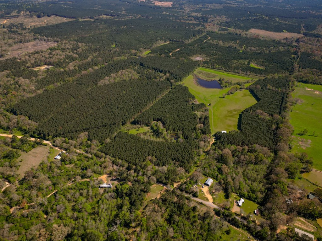 6596 McBride Road Pattison, MS 39144 - Photo 19 of 30 Photo 19
