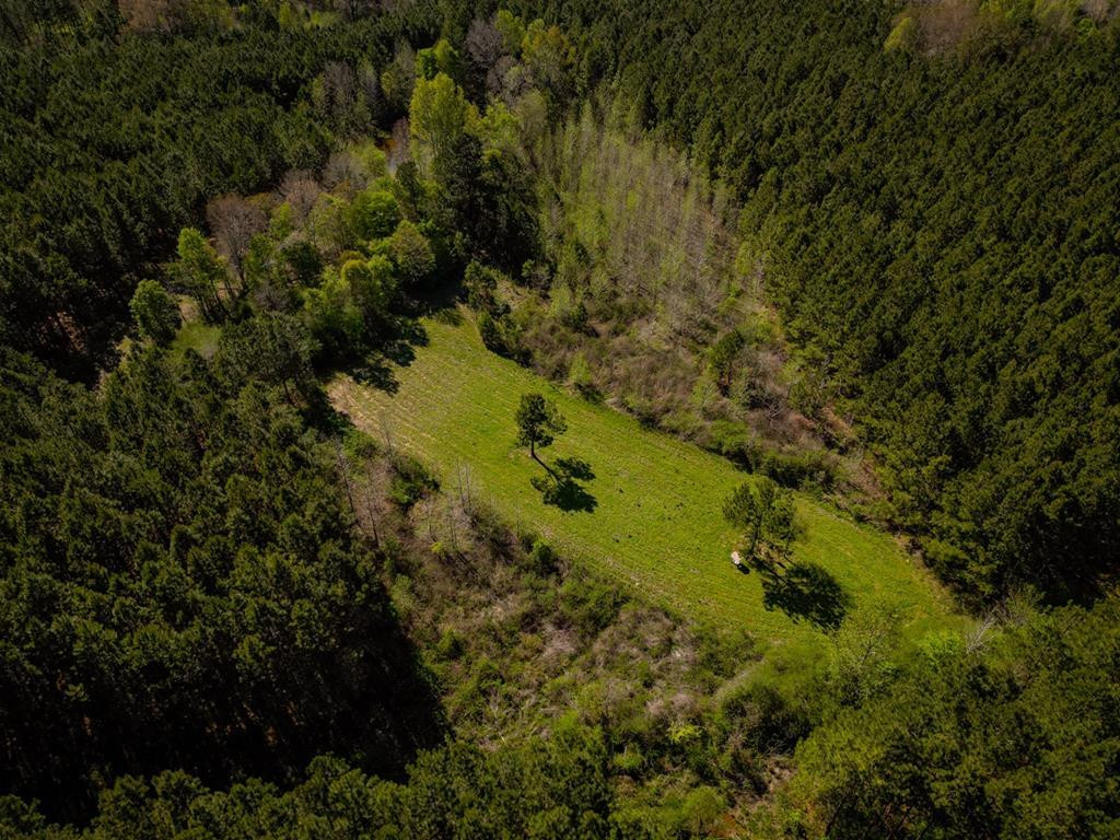 6596 McBride Road Pattison, MS 39144 - Photo 2 of 30 Photo 2