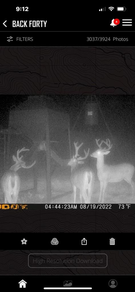 6596 McBride Road Pattison, MS 39144 - Photo 24 of 30 Photo 24