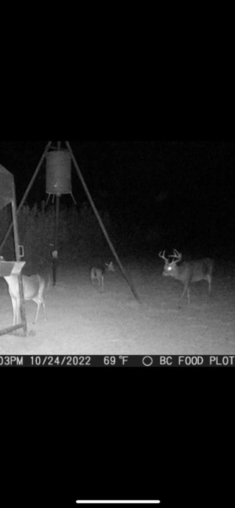 6596 McBride Road Pattison, MS 39144 - Photo 27 of 30 Photo 27