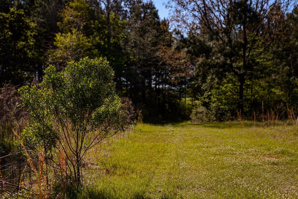 6596 McBride Road Pattison, MS 39144 - Photo 5 of 30 Photo 5