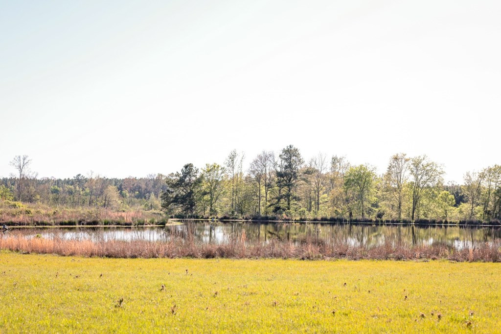 6596 McBride Road Pattison, MS 39144 - Photo 8 of 30 Photo 8
